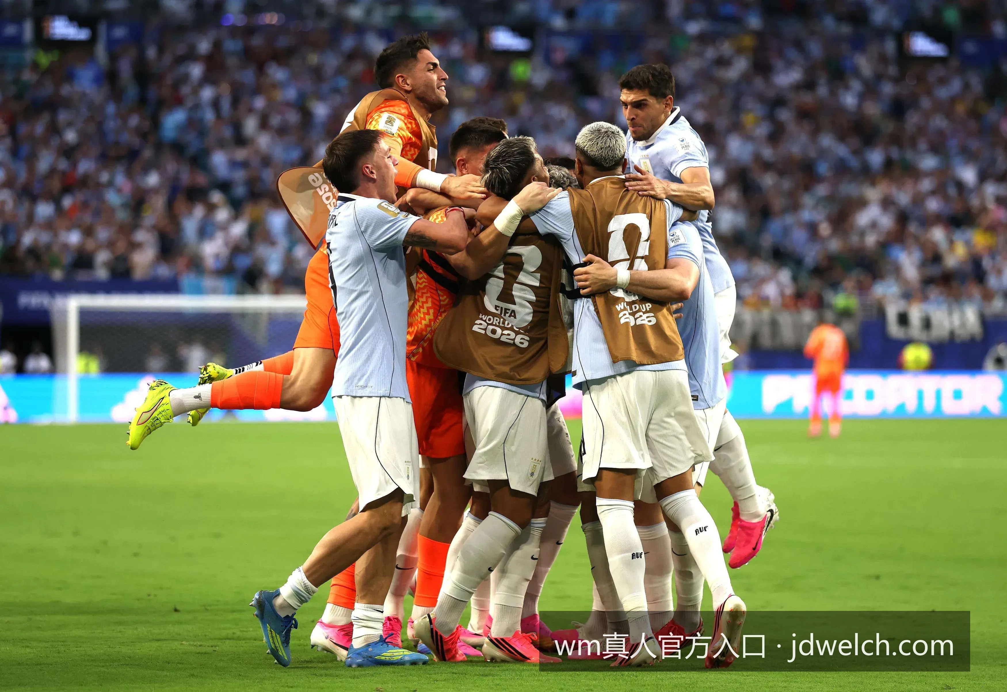 wm真人官方入口｜如何通过WM真人官方入口快速下载官方体育APP